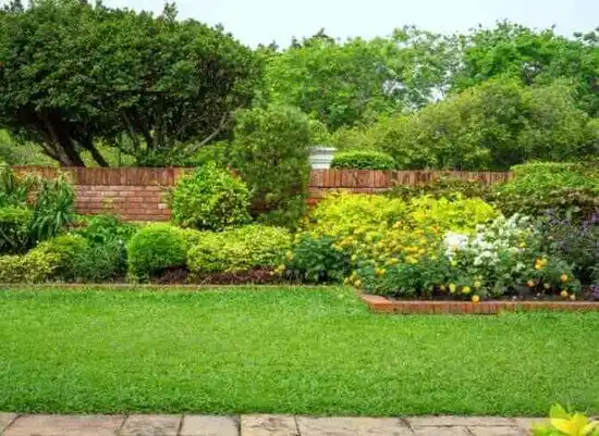 landscaping services Ruleville